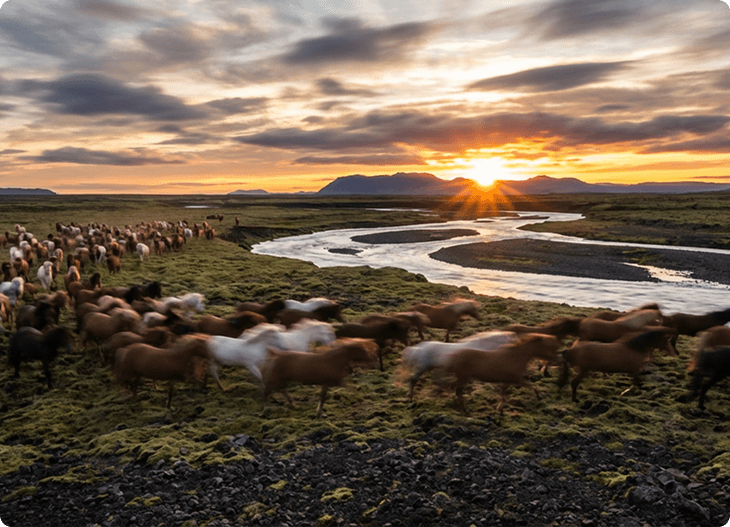 Quadrant gives you that clarity and tells you what to do next.